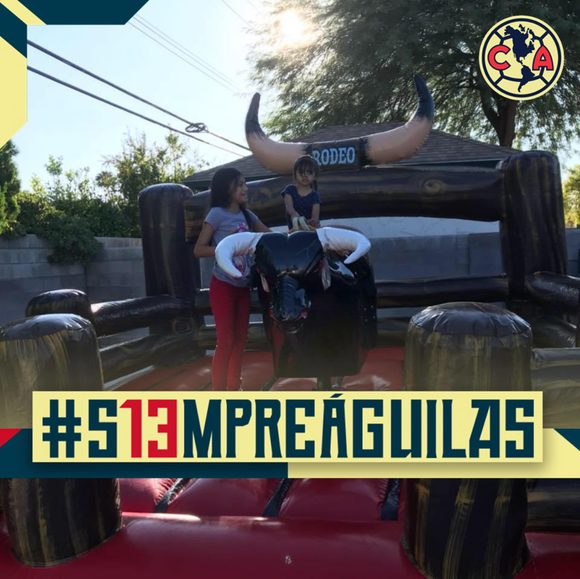 Meet your Posher, Victor - Picture 1 of 1